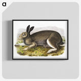 1-54_The-Viviparous-Quadrupeds_blk-crop