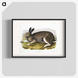 1-54_The-Viviparous-Quadrupeds_blk