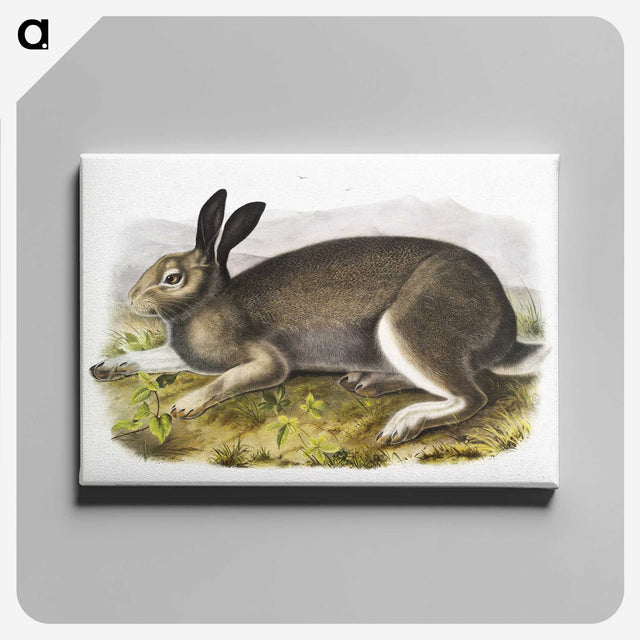 1-54_The-Viviparous-Quadrupeds_canvas