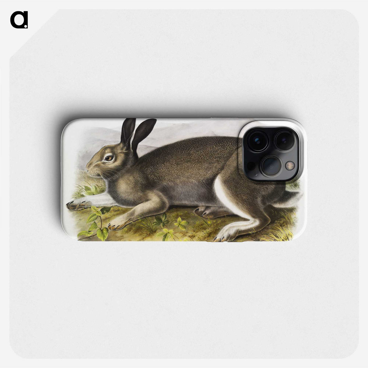1-54_The-Viviparous-Quadrupeds_phone
