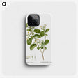 1-54_Treatise-on-Trees-and-Shrubs_phone