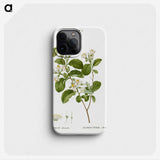 1-54_Treatise-on-Trees-and-Shrubs_phone