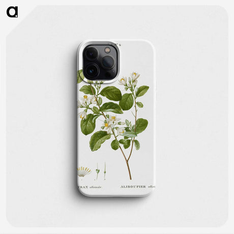 1-54_Treatise-on-Trees-and-Shrubs_phone