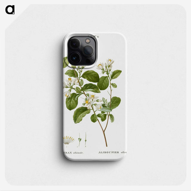 1-54_Treatise-on-Trees-and-Shrubs_phone