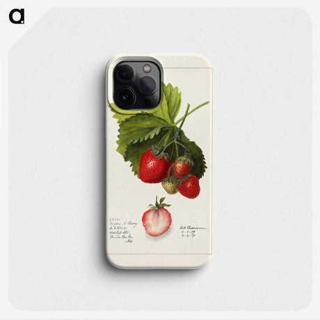 1-54_USDA-Watercolor-Fruit-Painting-Collection_phone
