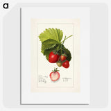 1-54_USDA-Watercolor-Fruit-Painting-Collection_picture