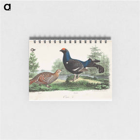 アートメモ帳-Black grouse, male and female. - ヴィルヘルム フォン ライト Memo.
