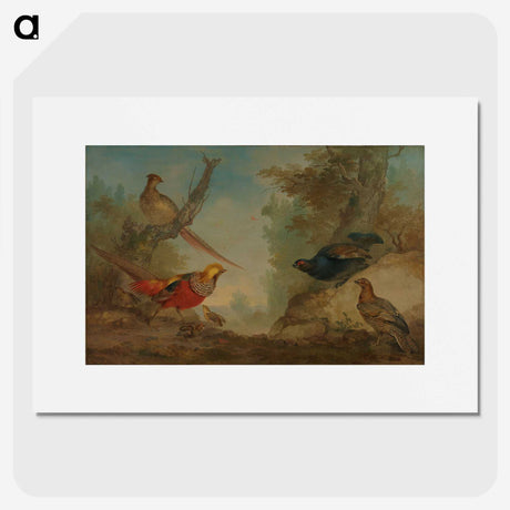 1-55_Aert-Schouman_picture