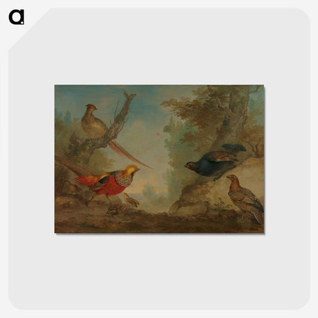 1-55_Aert-Schouman_postcard