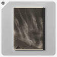 1-55_Alfred-Stieglitz_canvas