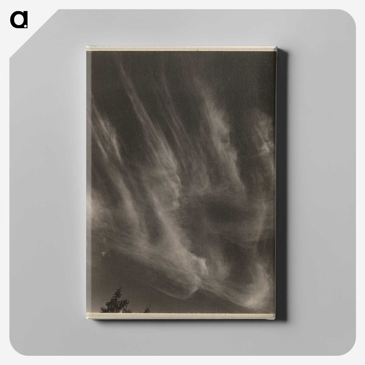 1-55_Alfred-Stieglitz_canvas