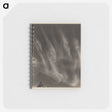 1-55_Alfred-Stieglitz_memo
