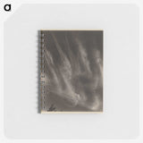 1-55_Alfred-Stieglitz_memo