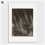 1-55_Alfred-Stieglitz_picture