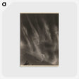 1-55_Alfred-Stieglitz_postcard