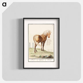 アートポスター-Horse - アンセルムス ボエティウス デ ブート Poster.