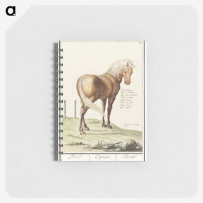 1-55_Anselmus-Boetius-de-Boodt_memo