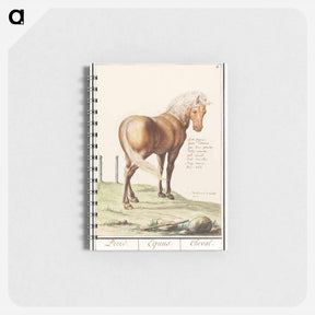 アートメモ帳-Horse - アンセルムス ボエティウス デ ブート Memo.