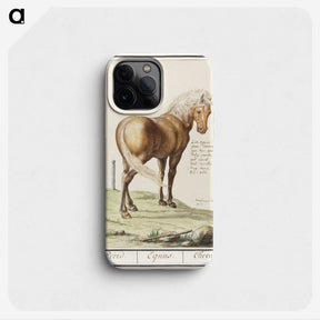 1-55_Anselmus-Boetius-de-Boodt_phone