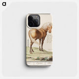 Horse - アンセルムス ボエティウス デ ブート Phone Case.