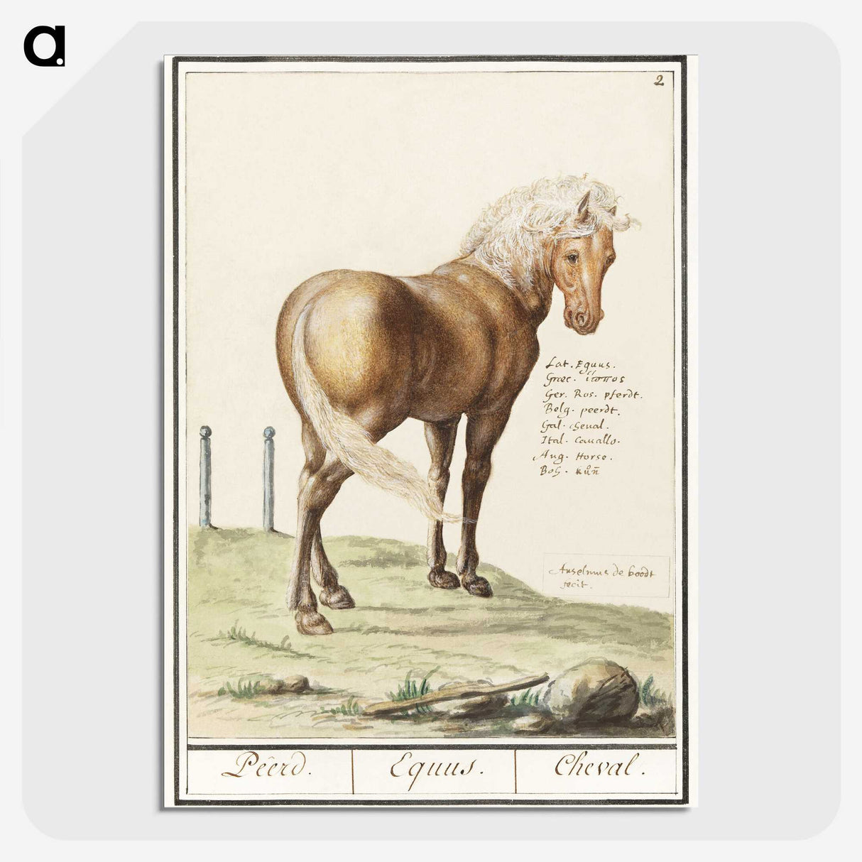 1-55_Anselmus-Boetius-de-Boodt_picture-crop