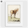 1-55_Anselmus-Boetius-de-Boodt_picture