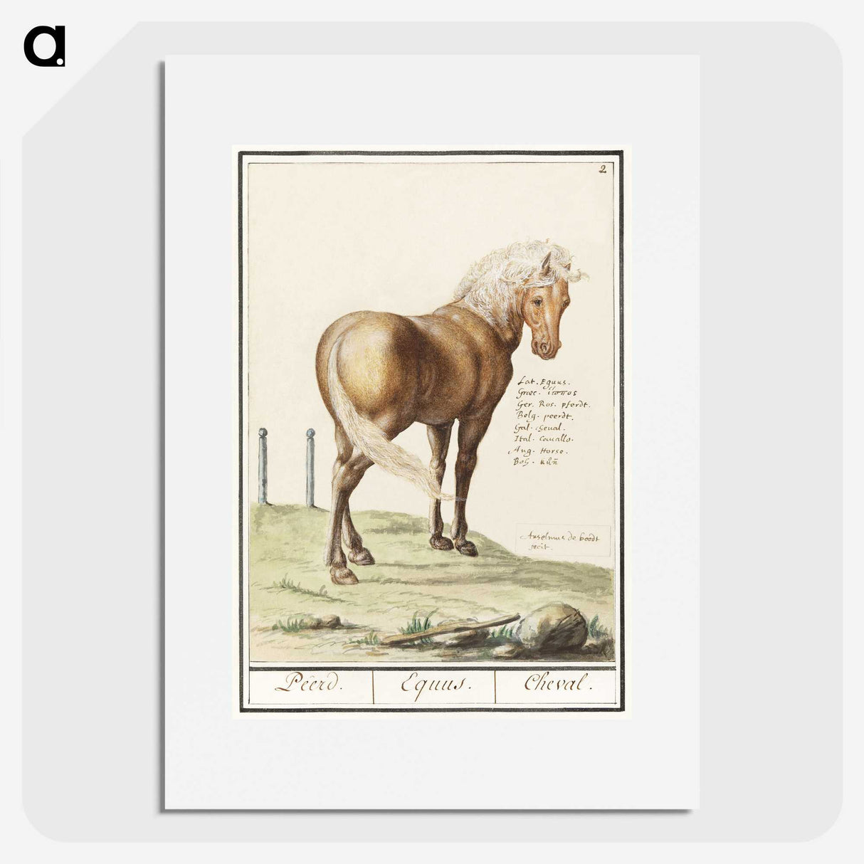 1-55_Anselmus-Boetius-de-Boodt_picture