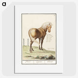 1-55_Anselmus-Boetius-de-Boodt_picture