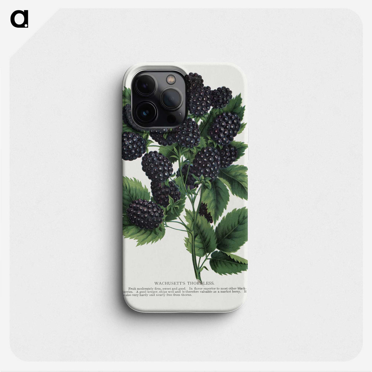 1-55_Botanical-Specimen-Plates_phone