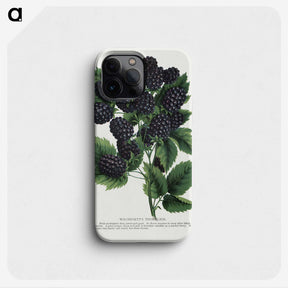 1-55_Botanical-Specimen-Plates_phone