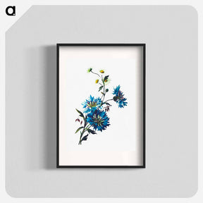 アートポスター-Daisy Corn Flower
 - 大英図書館 Poster.