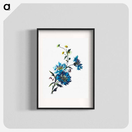 アートポスター-Daisy Corn Flower
 - 大英図書館 Poster.