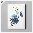 1-55_British-Library_canvas