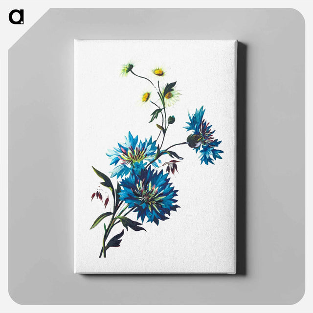 アートパネル-Daisy Corn Flower
 - 大英図書館 Canvas.