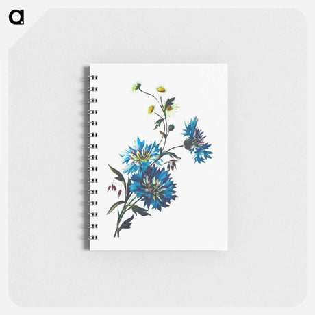 アートメモ帳-Daisy Corn Flower
 - 大英図書館 Memo.