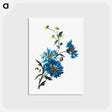 アートポストカード-Daisy Corn Flower
 - 大英図書館 Postcard.