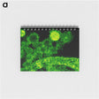 1-55_COVID-19_memo