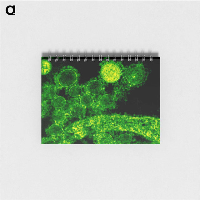 1-55_COVID-19_memo