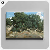 1-55_Camille-Pissarro_canvas