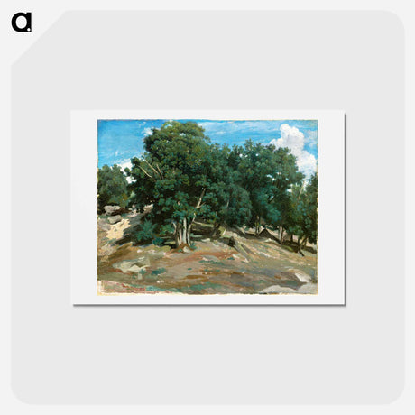 アートポストカード-Fontainebleau: Oak Trees at Bas-Bréau - カミーユ ピサロ Postcard.