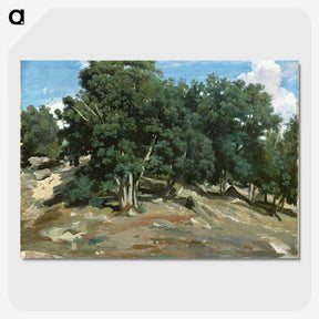 1-55_Camille-Pissarro_picture-crop