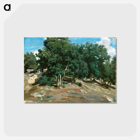 アートポストカード-Fontainebleau: Oak Trees at Bas-Bréau - カミーユ ピサロ Postcard.