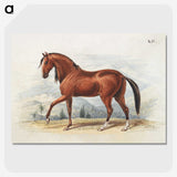 1-55_Charles-Hamilton-Smith_picture-crop