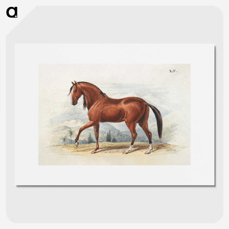 1-55_Charles-Hamilton-Smith_picture