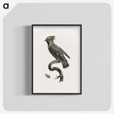1-55_Des-Oiseaux-de-Paradis_blk-crop