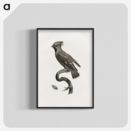 1-55_Des-Oiseaux-de-Paradis_blk-crop
