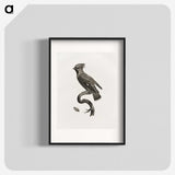 1-55_Des-Oiseaux-de-Paradis_blk