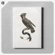 1-55_Des-Oiseaux-de-Paradis_canvas