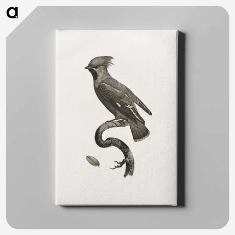 1-55_Des-Oiseaux-de-Paradis_canvas