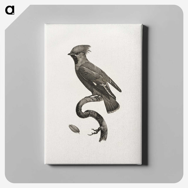 1-55_Des-Oiseaux-de-Paradis_canvas